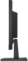HP P19b G4 Monitor