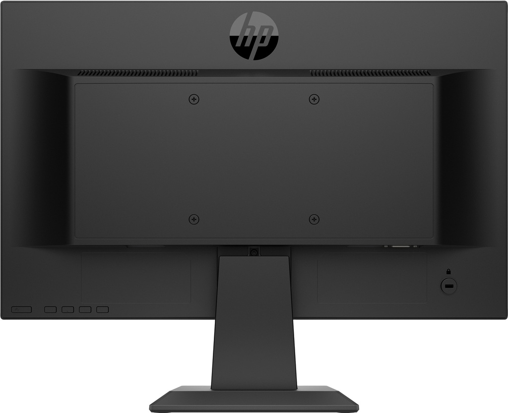 HP P19b G4 Monitor